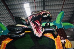 IMG 9358 1713149349 Dino Bounce House
